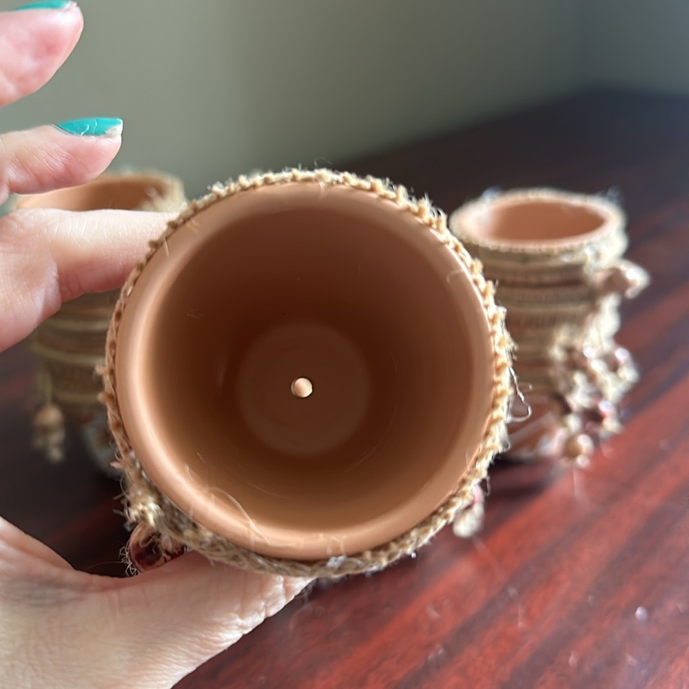 18 Mini Monstera Pots - Picture 4 of 5